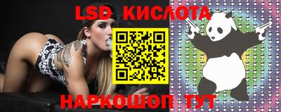 сатива Канаш