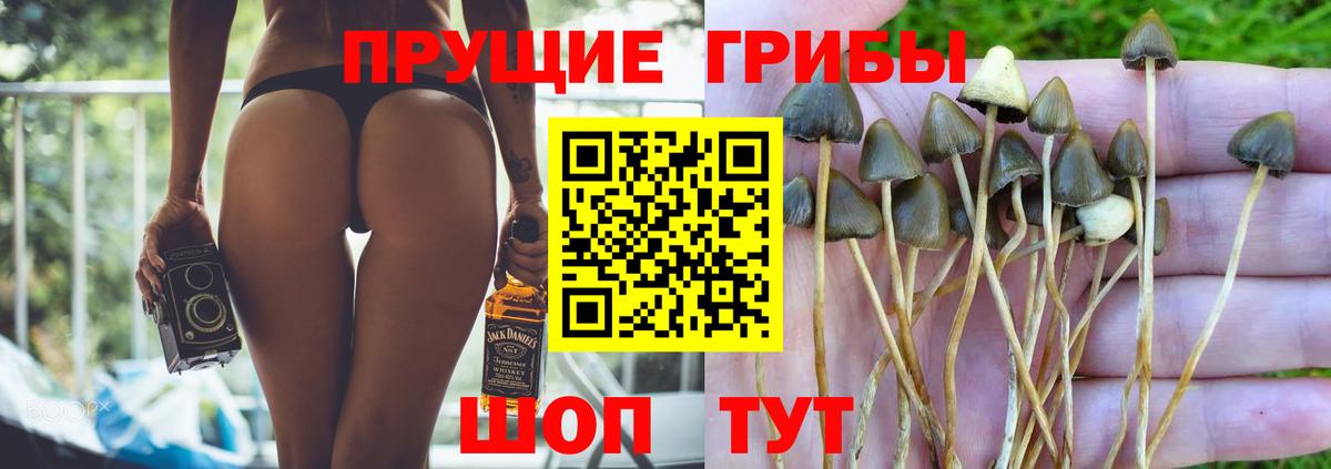 Галлюциногенные грибы прущие грибы  Галлюциногенные грибы Psilocybe  Красный Сулин  Вход с VPN 